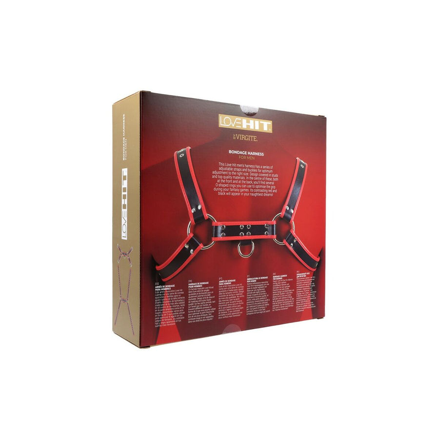 V4H06A97FE9DC06808D36DAECBA6F004127R5098523P4